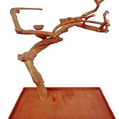 Collection image for: TRIPOD STAND