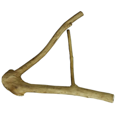 Collection image for: PERCH