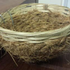 Collection image for: NEST BOX