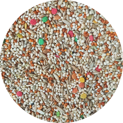 Collection image for: SEEDS