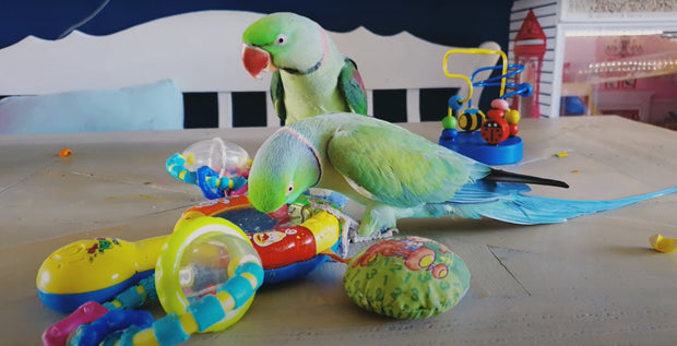 Banner image for: <h3>Enrichment Activities</h3>