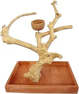 AE500D Sm Java Table Top Stand