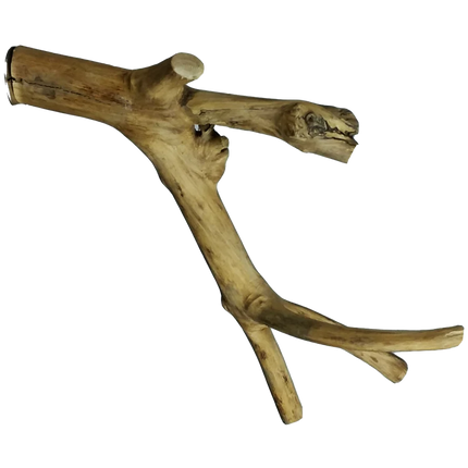 AE6000XSMB Extra Small Java Wood Multi Branch Perch