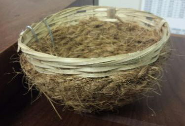 N53 Brush / Wicker Canary Nest