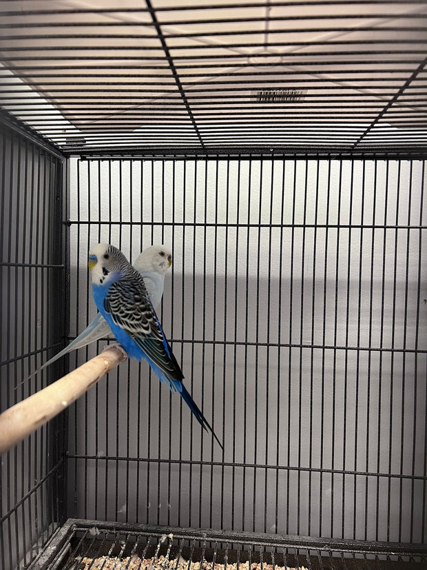 Banner image for: <h3>Spacious and Secure Accommodations</h3>