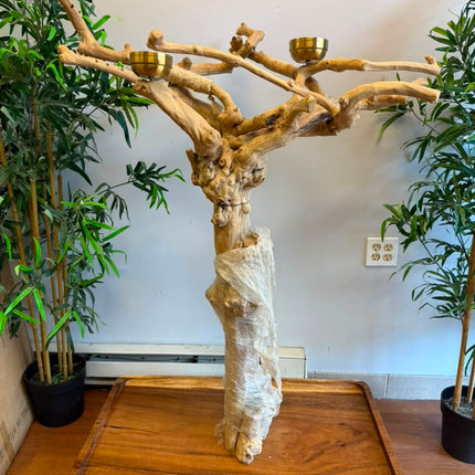 Java Wood Tree With Stand Large