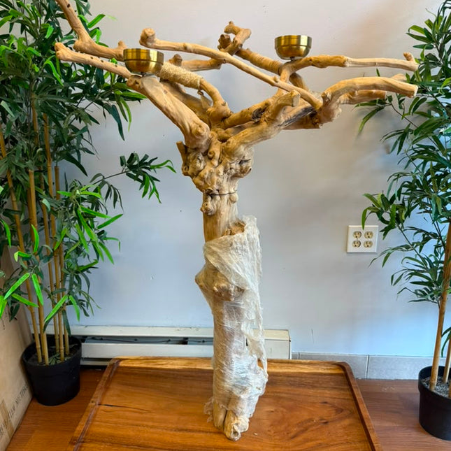 Java Wood Tree With Stand Large