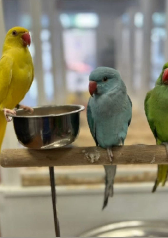 <h1>How can we help you?</h1>