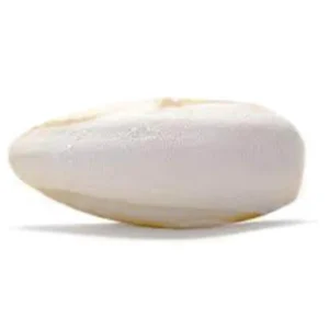 Cuttlebone Large Size 36pcs